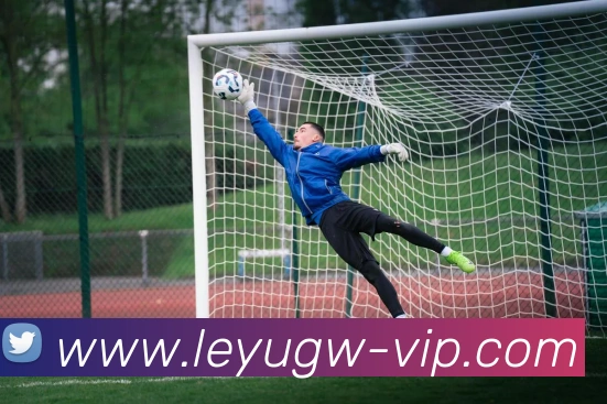 乐鱼官网:引领数字化竞技内容传播与交互的新标准品牌故事