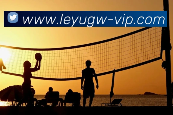 乐鱼官网:引领数字化竞技内容传播与交互的新标准服务体系