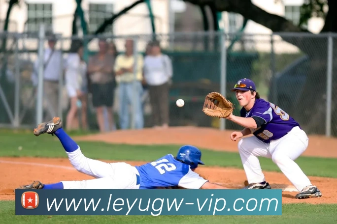 乐鱼官网:引领数字化竞技内容传播与交互的新标准APP 高清赛事图